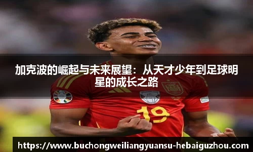 海星体育官方网站